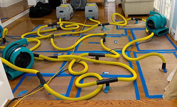 Professional Water Extraction technician working in Morton, TX